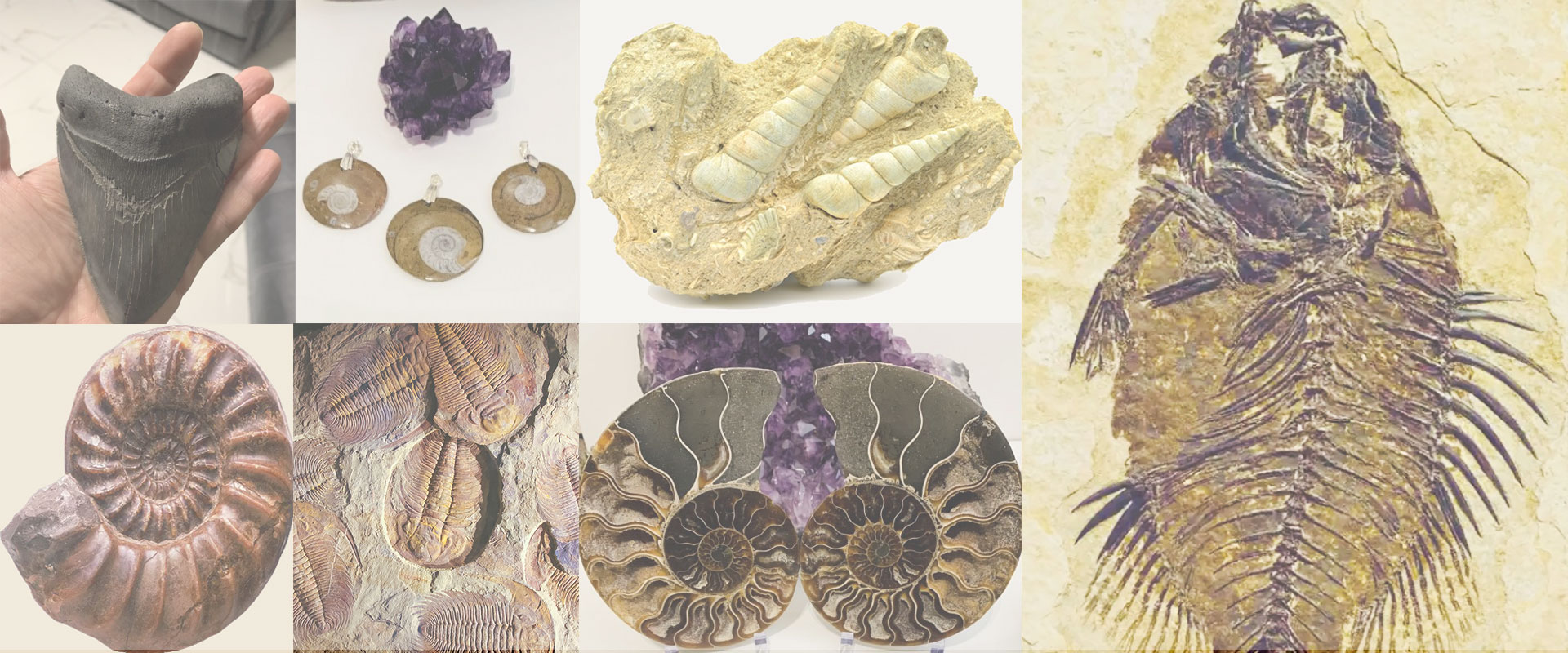 Brilliant Gems & Opals